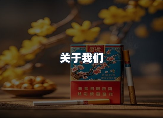 专业团队